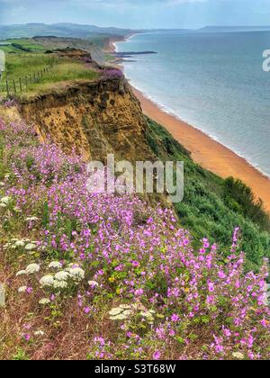 Du littoral de Golden Cap à West Bay, dans le Dorset, au Royaume-Uni Banque D'Images