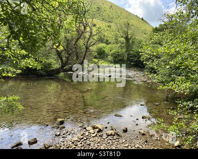 Rivière Wye traversant Monsal Dale dans le Peak District Banque D'Images