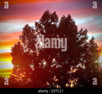 Coucher de soleil d'été depuis la fenêtre à l'étage d'une maison dans l'Utah, États-Unis. Le quartier local de l'Utah est tailleté contre un ciel radieux et lumineux. Banque D'Images