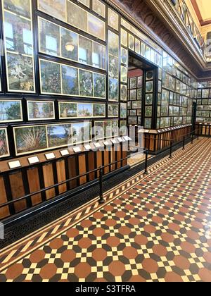 Galerie Marianna North à Kew Gardens Banque D'Images