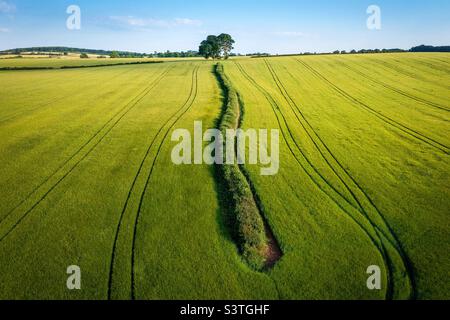 Ligne de tête. Banque D'Images