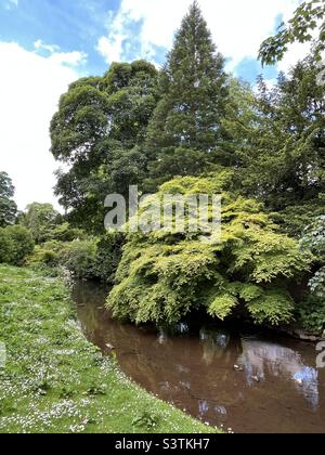 River Wye traversant les jardins Buxton Pavilion dans le Peak District Banque D'Images