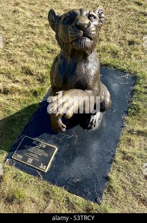 Des sculptures sur lion sont nées gratuitement au Clifton Downs bristol. Banque D'Images