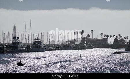 Silhoueté des bateaux dans le port avec la brume marine derrière eux, et le soleil se reflétant brillamment au large de l'océan Pacifique, Santa Barbara, Californie Banque D'Images