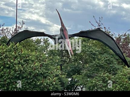 La cour extérieure du Dinosaur Museum à Vernal, Utah, États-Unis a plusieurs personnages de « dinosaure » placés dans tout le domaine pour fasciner et divertir les invités, en particulier les jeunes. Banque D'Images