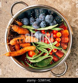 Une photo de fruits et légumes fraîchement cueillis dans un jardin. Banque D'Images