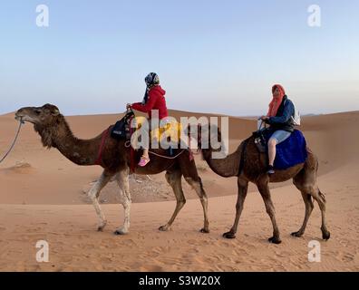 Deux femmes touristes en balade à dos de chameau dans le désert marocain, au Maroc, en Afrique du Nord Banque D'Images