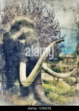 Récemment découvert artefact d'un mammouth de Woolly, que l'on croit dater de l'âge de glace… Ou bien, il pourrait s'agir d'une image récente « âgée » prise au Dinosaur Museum à Vernal, Utah, États-Unis. Banque D'Images