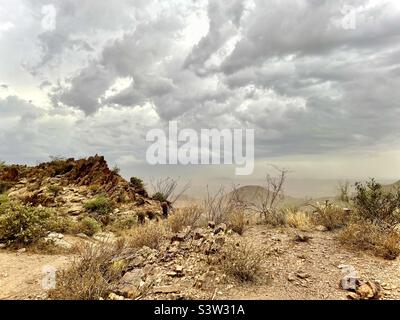 Randonneur - il est temps de se retourner ! Les nuages de mousson gris du matin se brassent sur le brun beige Andrews Kinsey - Sunrise Trail, Fountain Hills - Scottsdale AZ. Adero Canyon - Lost Dog Trailheads. Banque D'Images