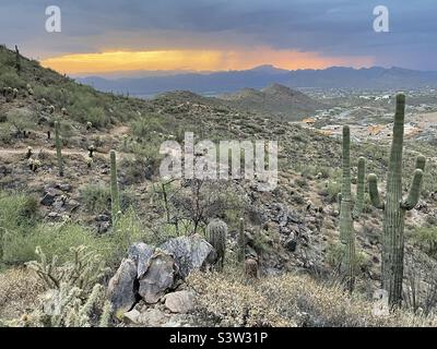 Soleil doré sur les pics de l'aiguille de Weaver sous les nuages violets de mousson de la virga encadrés par Saguaro Cactus, Andrews Kinsey - Sunrise Trail, Fountain Hills - Scottsdale AZ. Adero Canyon - Lost Dog Trailheads. Banque D'Images