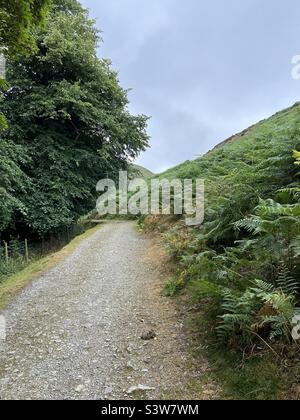 Sentier le long du long Mynd, Church Stretton, Shropshire Banque D'Images