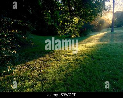 Puits de lumière chaude dans un parc urbain, Ontario, Canada. Silencieux, serein, stimulant. Espoir. Optimisme. Le jour est jeune. Symbolique. Heure d'or. Banque D'Images