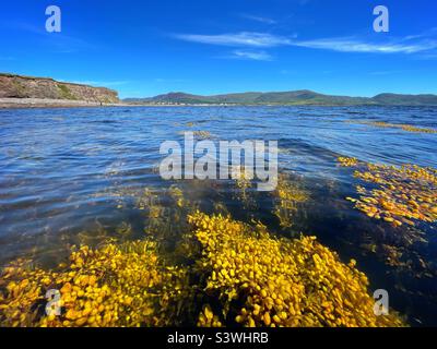 Vue de la mer vers la ville de Waterville sur la baie de Ballinskelligs, comté de Kerry, République d'Irlande, août. Banque D'Images