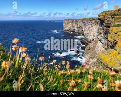 Réserve naturelle RSPB Marwick Head, Orcades, Écosse Banque D'Images