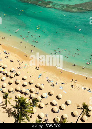 Vue à angle élevé des parasols et des amateurs de plage sur une plage de sable et dans les eaux chaudes à Hawaii. Banque D'Images