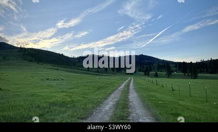 Route de piste de terre à travers la terre d'herbe, menant à des collines couvertes de pins. Couvert, sombre, avec quelques nuages au-dessus. Montana, États-Unis Banque D'Images