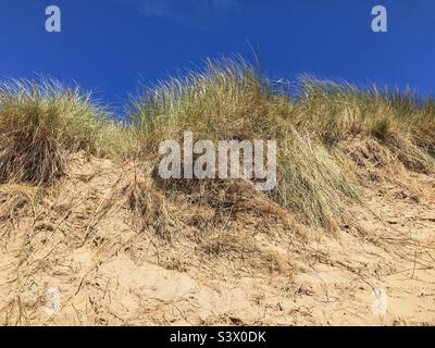 Dunes de sable de la réserve naturelle nationale de Morfa Harlech, près de Harlech Wales, Royaume-Uni Banque D'Images