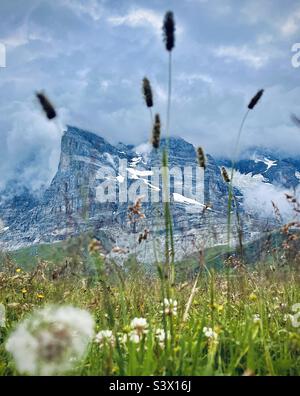 La randonnée de Lauterbrunnen à Kleine Scheidegg offre des vues spectaculaires sur la montagne Eiger dans les alpes bernoises Banque D'Images