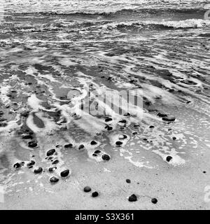 Des vagues mousseuse se brisent sur une plage de sable avec des galets. Prise de vue en noir et blanc. Banque D'Images