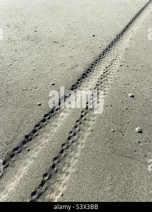 Gros plan des pistes de pneus de vélo sur du sable gris humide. Banque D'Images