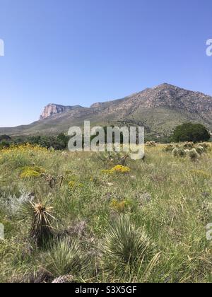 Parc national des montagnes Guadalupe Salt Flats Texas Banque D'Images