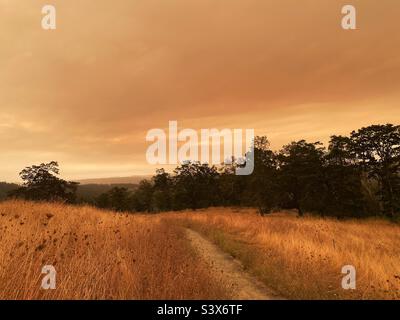 Ciel fumé orange des feux de forêt voisins, au-dessus de la vallée de Willamette, dans le sud de l'Oregon. Banque D'Images