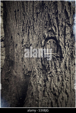 Petite porte en bois sculptée dans le tronc d'un arbre dans les bois de Grove, Felixstowe. Banque D'Images