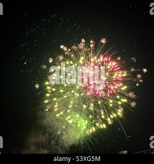 Feux d'artifice roses et verts. Banque D'Images