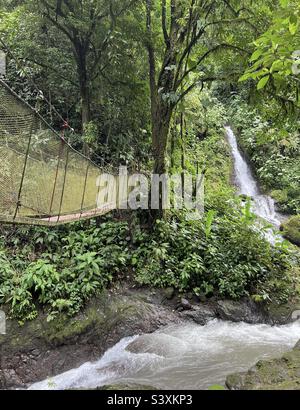 Pont suspendu avec chute d'eau et paysage tropical à la forêt tropicale Rainmaker au Costa Rica Banque D'Images