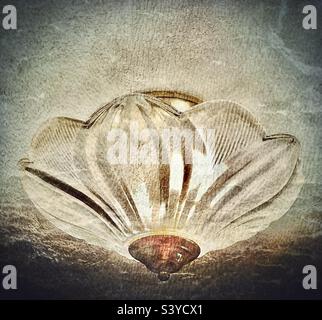 L'effet grunge et la texture ajoutent de l'intérêt à cette image simple d'un luminaire de chambre illuminé à l'intérieur d'une maison de style Cape Cod dans l'Utah, aux États-Unis. Banque D'Images