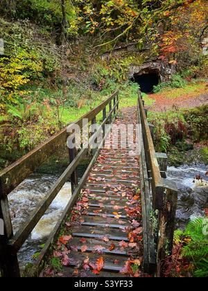 Pont en bois au-dessus de la rivière Sychrhyd avec une ancienne entrée de la mine de silice en arrière-plan, automne. Banque D'Images