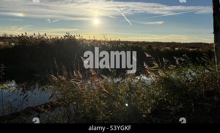 Matin au parc national de Maumee Bay Banque D'Images