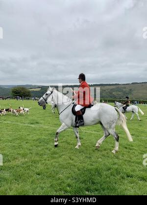 Un chasseur de cerfs dans une veste de chasse rouge fait le tour d'un cheval blanc avec des staghounds à Hawkridge Country Revel et gymkhana, Somerset, Angleterre Banque D'Images