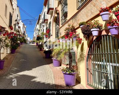 Belles fleurs dans une rue à Estepona dans le sud de l'Espagne Banque D'Images