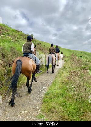 Poney trekking le long d'une petite chaussée à Exmoor, Somerset en été. Un groupe de cavaliers voyage un seul dossier sur les chevaux Banque D'Images