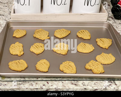 Petits gâteaux faits maison au beurre d'arachide chauds hors du four Banque D'Images