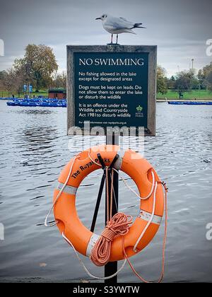 Pas de signe de natation avec anneau de bouée de sauvetage et mouette sur le dessus Banque D'Images