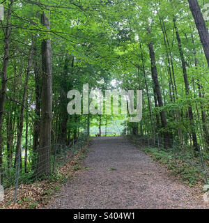 Juin 2022, Jim Tedisco Old Iron Spring Fitness Trail, Ballston Spa, Saratoga County, New York, États-Unis Banque D'Images