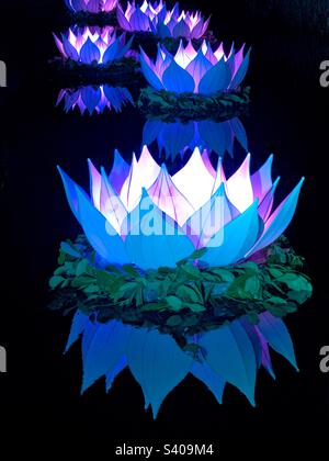 Décorations illuminées en forme de nénuphars flottant sur l'eau. Personne. Banque D'Images
