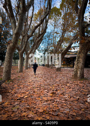 Jeune femme blonde marchant au milieu d'une route couverte de feuilles mortes en hiver Banque D'Images