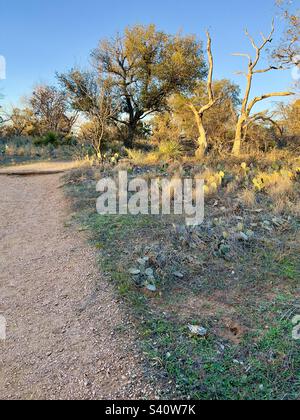 Coucher de soleil sur un sentier situé dans le parc national d'Inks Lake, Texas Banque D'Images