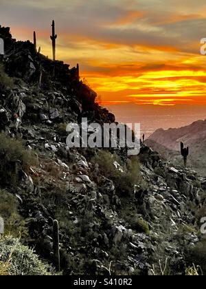 En descendant le coucher du soleil sur la montagne, Saguaro sentinels silhouetted contre les nuages d'orange doré, Two bit Peak, 40th Street Trailhead, Phoenix Mountain Preserve, Arizona Banque D'Images