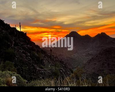 En descendant le coucher du soleil sur la montagne, les sentinelles Saguaro et Piestewa Peak se sont taillées sur des nuages orange dorés flamboyants, Two bit Peak, 40th Street Trailhead, Phoenix Mountain Preserve, Arizona Banque D'Images