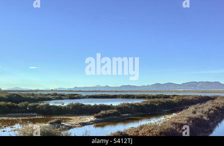 Les lacs salés à Santa Pola, Espagne, un jour ensoleillé en janvier 2023 Banque D'Images