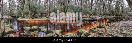 Ruisseau d'hiver d'Ober Water dans le parc national de New Forest Brockenhurst Hampshire Royaume-Uni Banque D'Images