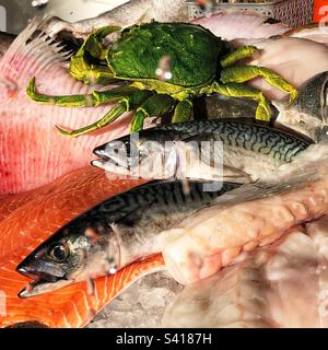 Fenêtre de Fishmongers avec filets de maquereau et de saumon entiers Banque D'Images