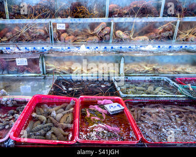 Marché de fruits de mer en direct dans le quartier de Sai Kung à Hong Kong, une destination connue pour ses restaurants de fruits de mer frais Banque D'Images