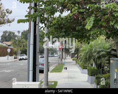 SANTA MONICA, CA, 2022 AOÛT : vue sur le trottoir le long d'une rue tranquille dans le quartier de la communauté de la plage Banque D'Images