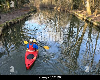 Un homme pagaie un kayak rouge le long du canal de Basingstoke, près de Fleet, dans le Hampshire, en Angleterre. Banque D'Images