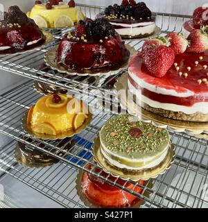 Différents types de gâteaux de crème glacée exposés dans une pâtisserie Banque D'Images